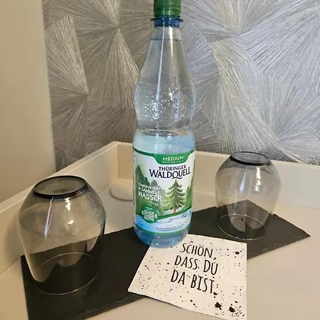 Modernes Gaestezimmer In *